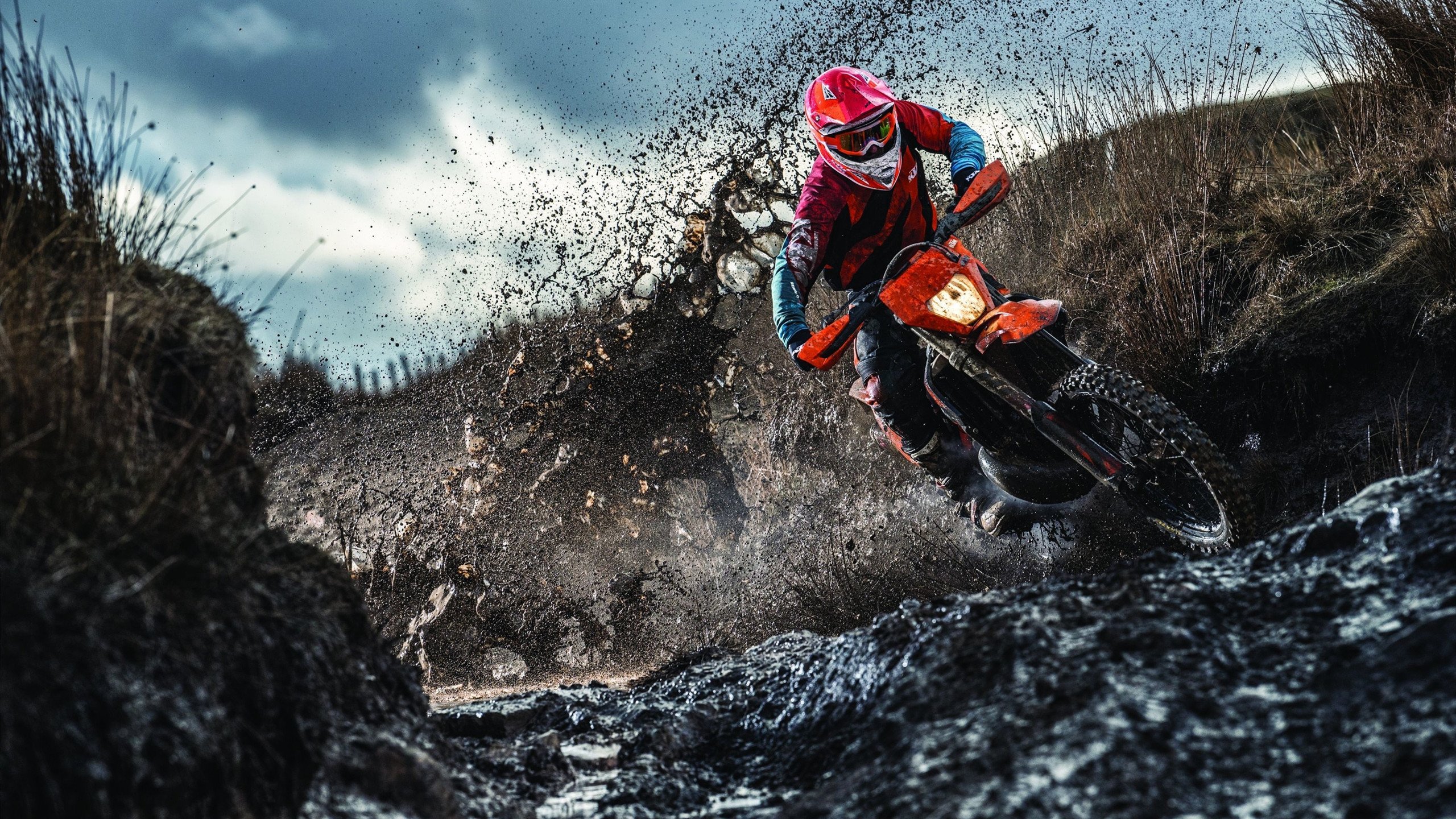 美加墨世界杯焦点战，当灰熊制霸魔术，篮球版图正在裂变